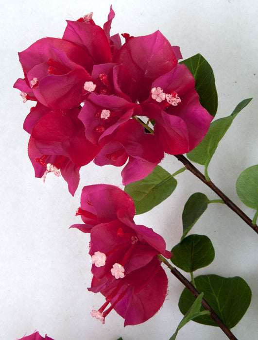44" Bougainvillea Silk Flower Stem -Fuchsia (Pack of 6) - P-131050
