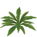 14" Bird's Nest Fern Silk Plant -Green (pack of 12) - P140010