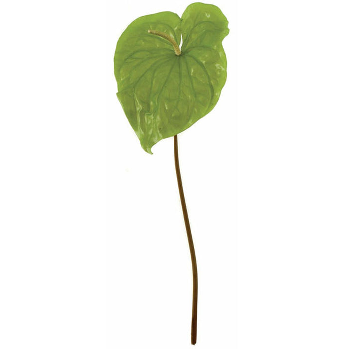 artificial anthurium flower 30" Soft-Touch Artificial Anthurium Flower Stem -Light Green (Pack of 6)