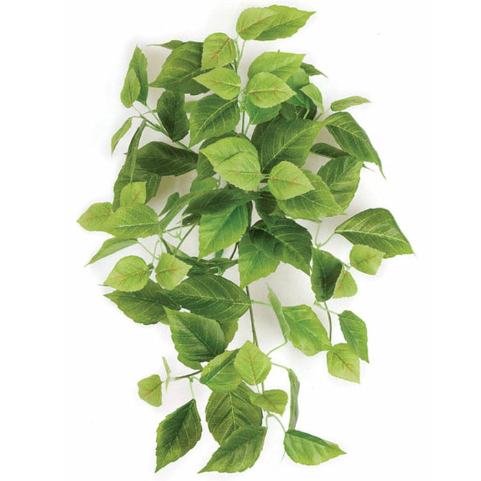 26" Hanging Cissus Leaf Silk Plant -Light Green (pack of 12) - P140280