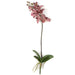 20" Phalaenopsis Orchid With Roots Silk Flower Stem -Mauve/Pink (Pack of 6) - P-140590