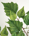 52" Silk Birch Leaf Stem -2 Tone Green (pack of 6) - P150150