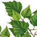 52" Silk Birch Leaf Stem -2 Tone Green (Pack of 6) - P150150