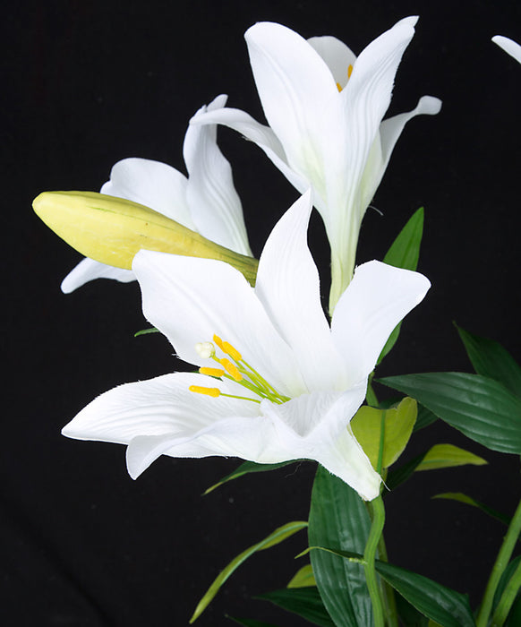 silk white lilies 24" Silk Easter Lily Flower Bush -White (Pack of 6)