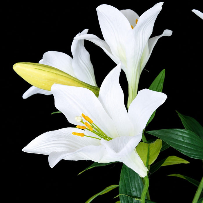 24" Silk Easter Lily Flower Bush -White (Pack of 6) - P150170