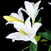 24" Silk Easter Lily Flower Bush -White (Pack of 6) - P150170