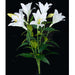 24" Silk Easter Lily Flower Bush -White (pack of 6) - P150170