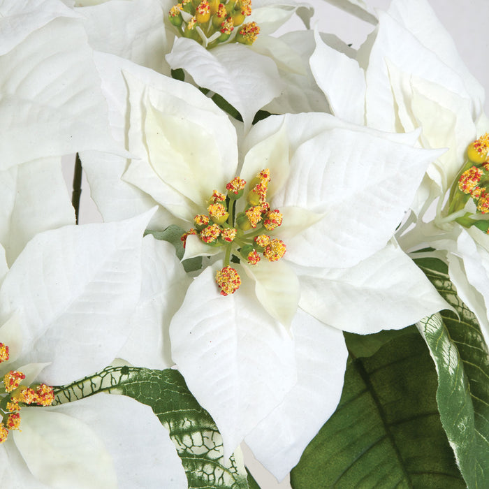 20" Velvet Poinsettia Artificial Flower Bush -White (pack of 6) - P150250