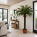 6' Phoenix Date Silk Palm Tree w/Pot -Green - P150560