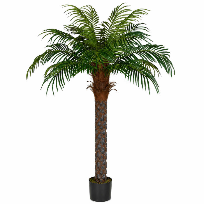 6' Phoenix Date Silk Palm Tree w/Pot -Green - P150560
