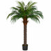 6' Phoenix Date Silk Palm Tree w/Pot -Green - P150560