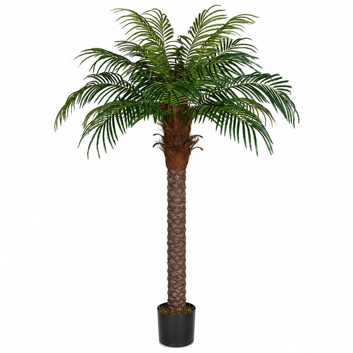 6' Phoenix Date Silk Palm Tree w/Pot -Green - P150560