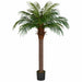 6' Phoenix Date Silk Palm Tree w/Pot -Green - P150560