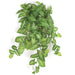 32" Real Touch Hanging Syngonium Silk Plant -Variegated Green (pack of 6) - P150790