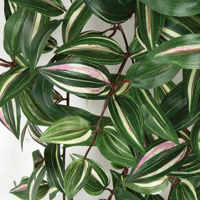 hanging silk plant 50" Hanging Wandering Jew Silk Plant -Green/Pink (Pack of 4)