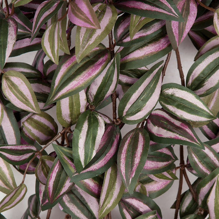 50" Hanging Wandering Jew Silk Plant -Pink/Green (pack of 4) - P153521