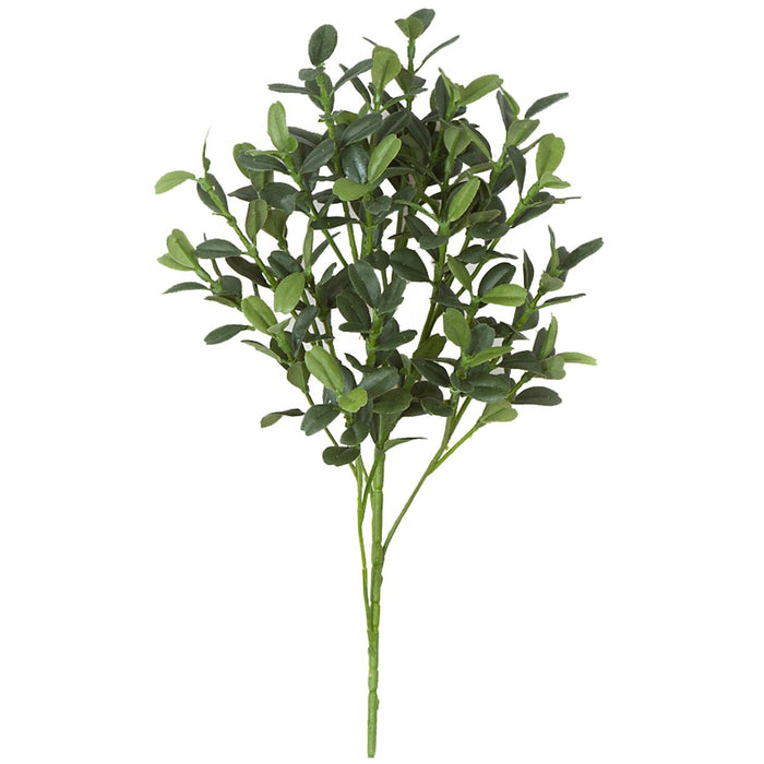 12" Artificial Boxwood Stem Pick -2 Tone Green (pack of 24) - P155100