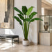7' Silk Bird Of Paradise Plant w/Pot -Green - P160750