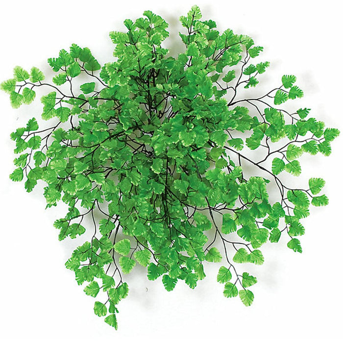 maidenhair fern hanging plant 18" Hanging Maidenhair Fern Leaf Silk Plant -2 Tone Green (Pack of 6)