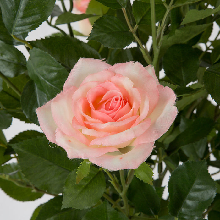 26" Rose Silk Flower Bush -Pink (Pack of 4) - P-170043