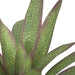 19" Soft Touch Artificial Bromeliad Plant -Green/Red (pack of 4) - P173630