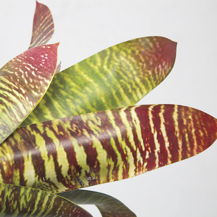 15" Artificial Bromeliad Plant -Green/Burgundy (pack of 6) - P173650