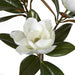 35" Soft-Touch Silk Magnolia Flower Stem -White (Pack of 4) - P173720