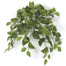 24" Variegated Pothos Vine Artificial Hanging Plant -100 Leaves -Green (pack of 6) - P175000