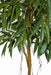 7' Silk Royal Longifolia Tree w/Pot -1,251 Leaves -Green - P180100