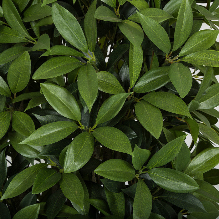 4' Artificial Bay Laurel Leaf Topiary Tree -2 Tone Green - P180450