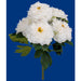 21" Peony Silk Flower Bush -White/Cream (Pack of 6) - P-180749