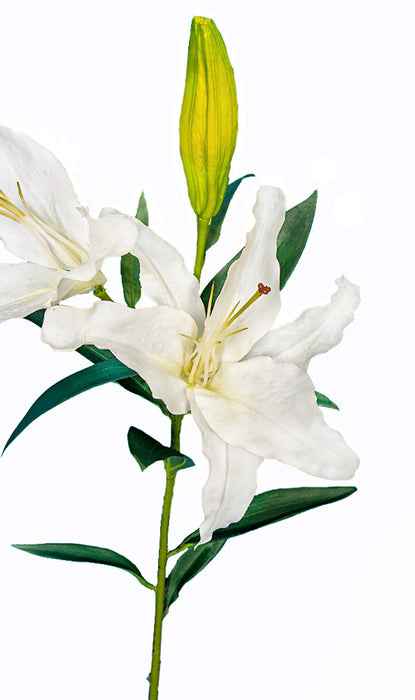 37" Lily Silk Flower Stem -White (Pack of 6) - P-180872