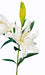 37" Lily Silk Flower Stem -White (Pack of 6) - P-180872