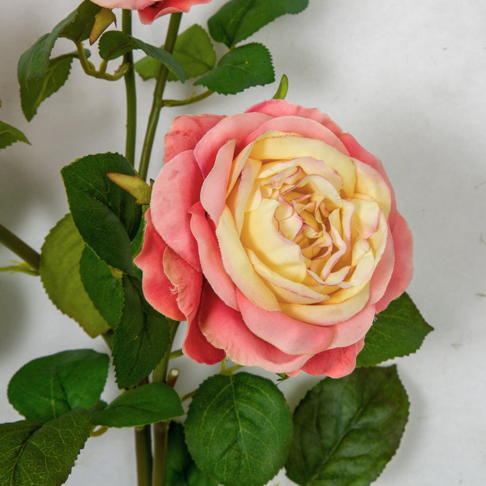 20" Rose Silk Flower Stem -Coral/Yellow (Pack of 12) - P-180900