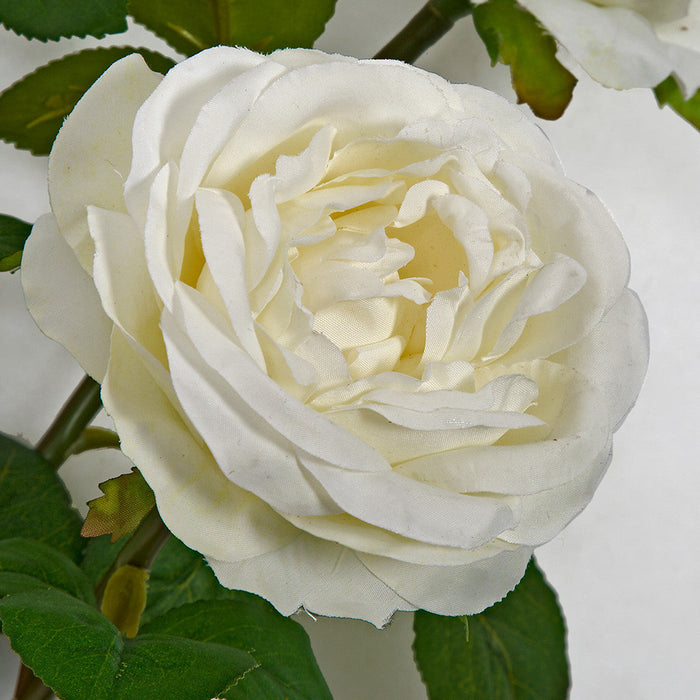 20" Rose Silk Flower Stem -White (Pack of 12) - P-180902
