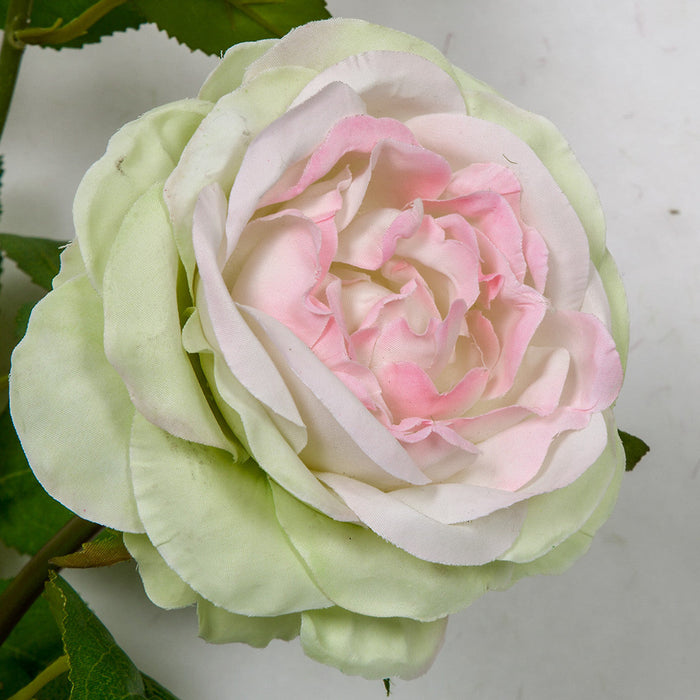 20" Rose Silk Flower Stem -Green/Pink (Pack of 12) - P-180904