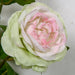 20" Rose Silk Flower Stem -Green/Pink (Pack of 12) - P-180904