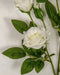 23" Rose Silk Flower Stem -White (Pack of 24) - P-180910