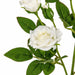 23" Rose Silk Flower Stem -White (Pack of 24) - P-180910