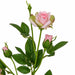 23" Rose Silk Flower Stem -Pink (Pack of 24) - P-180912