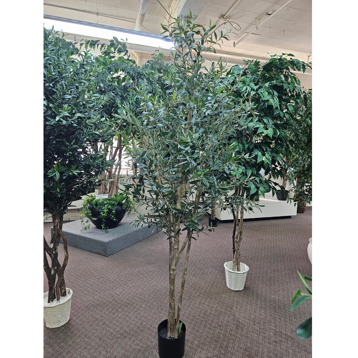 7'6" Silk Olive Tree With Olives w/Pot -Green - P181740