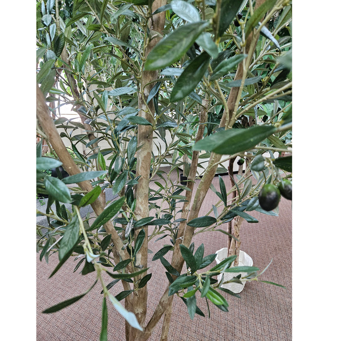 7'6" Silk Olive Tree With Olives w/Pot -Green - P181740
