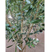 7'6" Silk Olive Tree With Olives w/Pot -Green - P181740