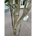 7'6" Silk Olive Tree With Olives w/Pot -Green - P181740