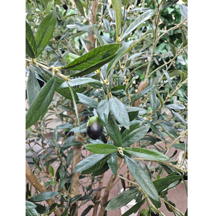 7'6" Silk Olive Tree With Olives w/Pot -Green - P181740