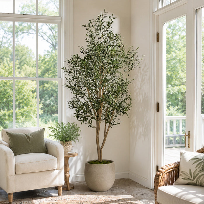 7'6" Silk Olive Tree With Olives w/Pot -Green - P181740