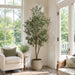 7'6" Silk Olive Tree With Olives w/Pot -Green - P181740