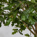 12' Silk Oak Tree With Acorns w/Base -Green - P181750
