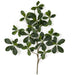 26" Silk Black Olive Leaf Stem -Green (pack of 24) - P183000