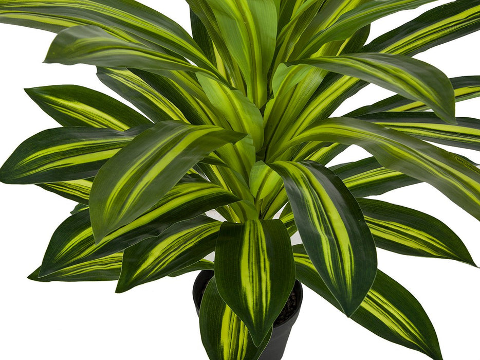 30" Real Touch Dracaena Silk Plant w/Pot -2 Tone Green (pack of 2) - P184150